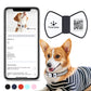 NFC Smart QR Code Pet Label Personalization