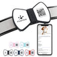 NFC Smart QR Code Pet Label Personalization