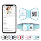 NFC Smart QR Code Pet Label Personalization